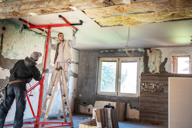 Best Insulation Maintenance and Repair in Brackettville, TX